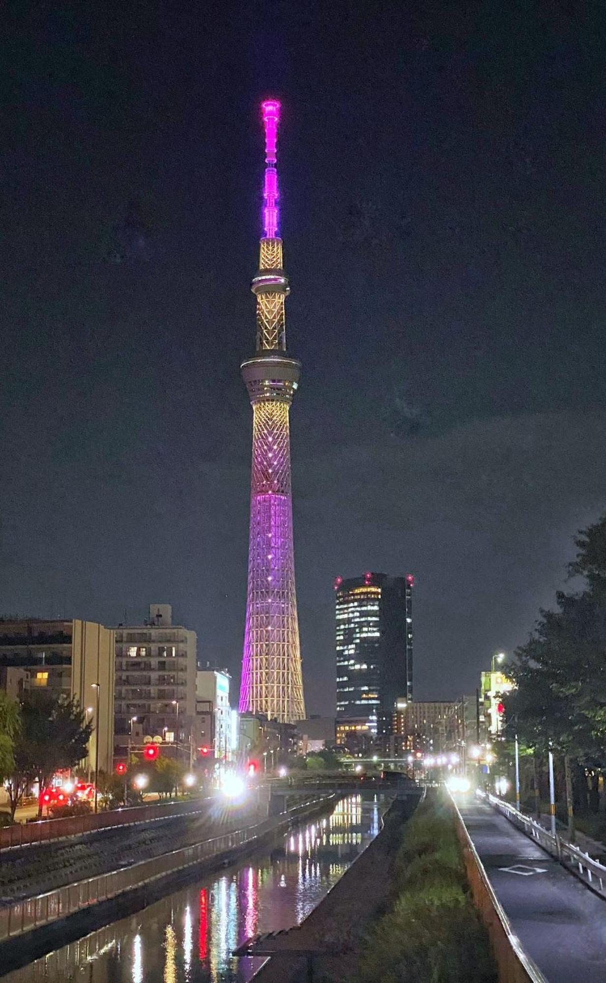 Tokyo Sakura Hotel Экстерьер фото